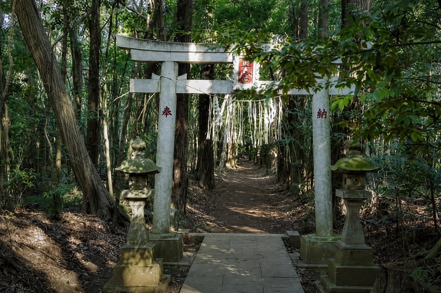 【千葉県の心霊スポット】達磨神社（白幡神社）｜呪術に使われたダルマが祀られていた──殺人事件の影がまとわりつく、船橋の廃神社の怪