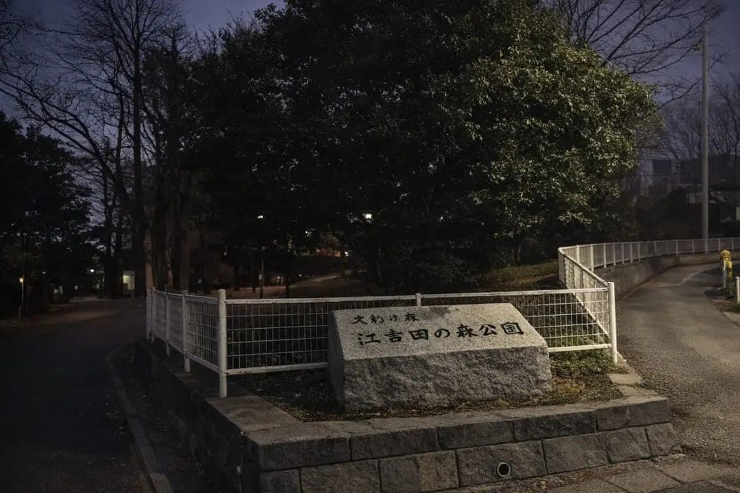 【心霊】江古田の森公園｜防空壕跡の公園で夜に聞こえる声の正体の外観