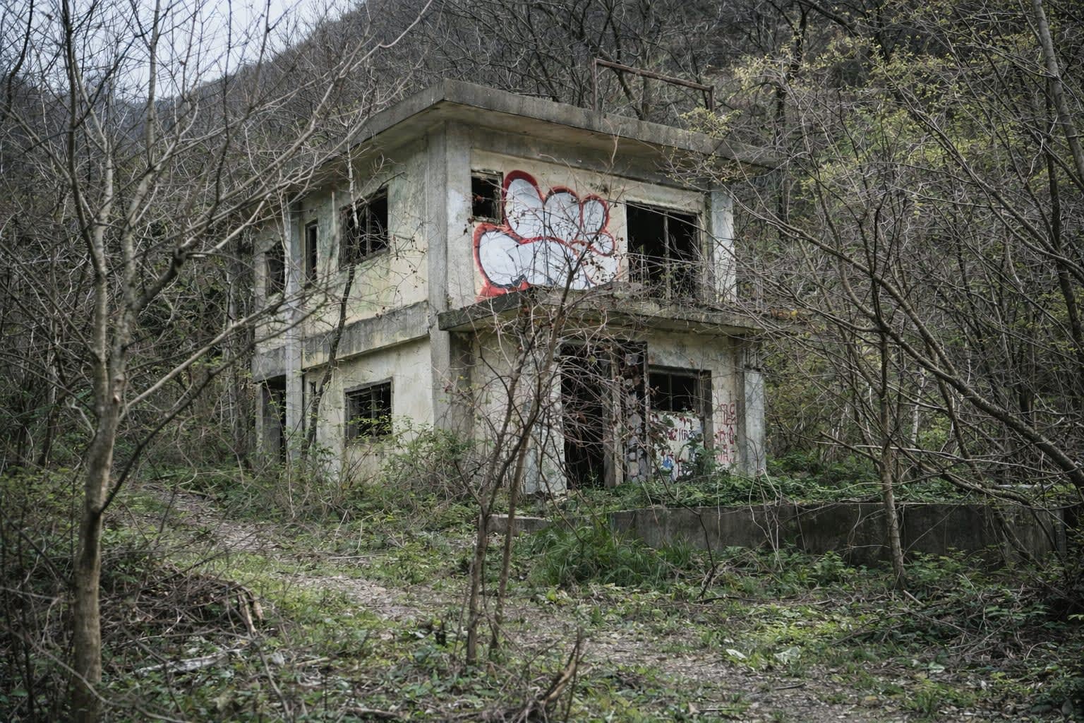 【心霊】ホワイトハウス｜地図に載らない新潟の山奥の廃屋で毎晩灯りが灯る理由