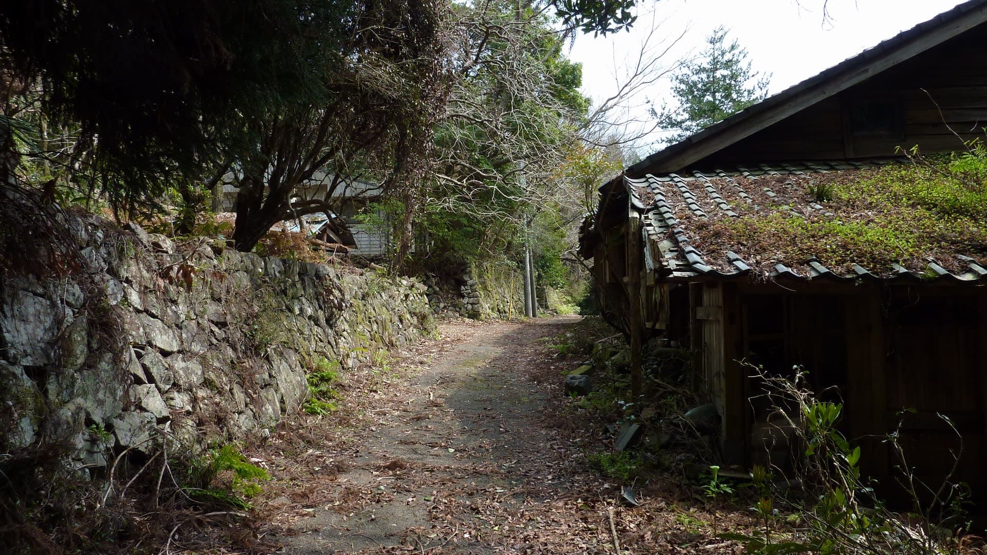 【心霊】寒川集落｜廃村から消えた住人が目撃される宮崎の山奥の異変