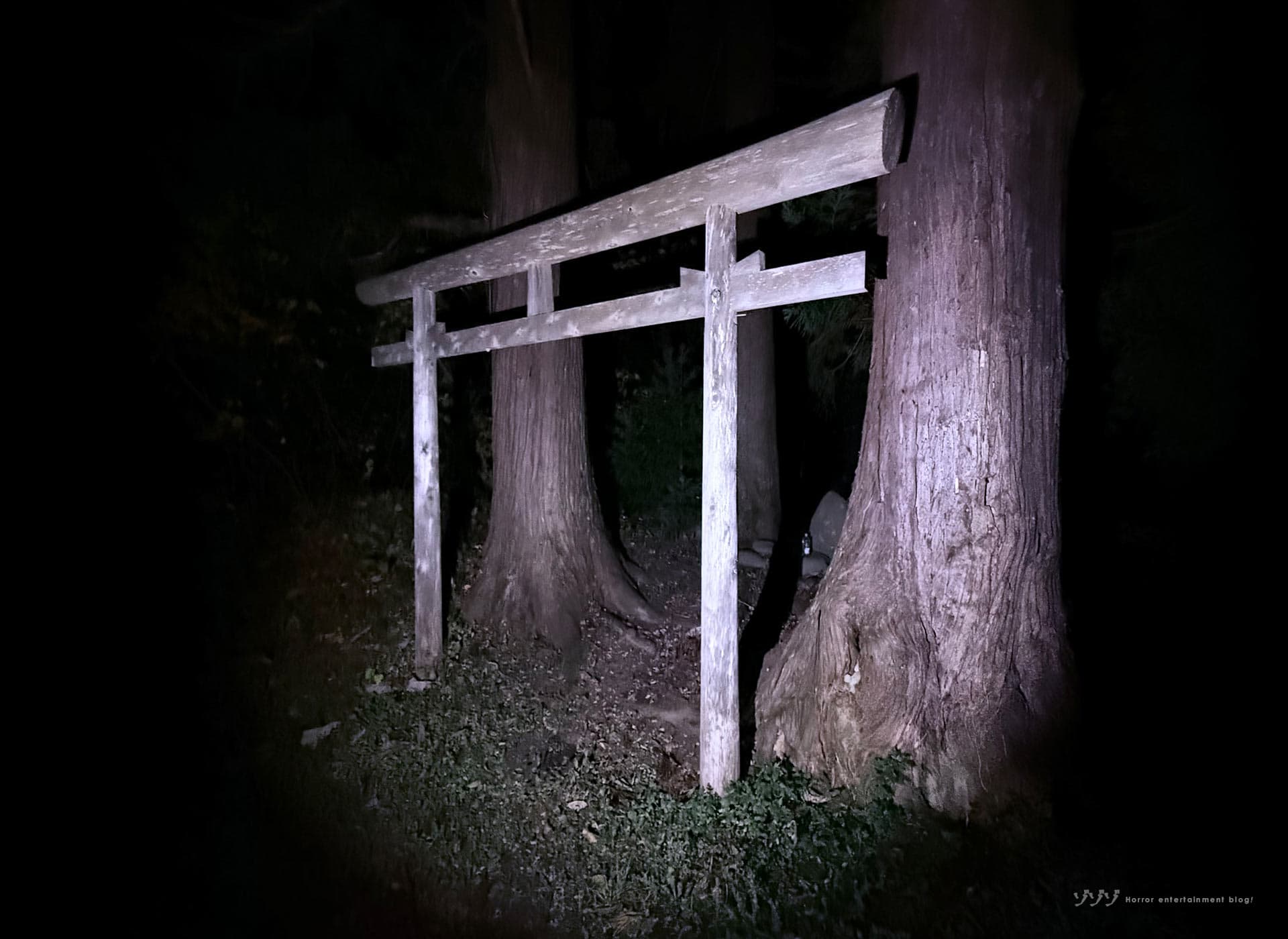 【心霊】杉沢村｜村人が全員惨殺されたとされる青森の廃村伝説の真相