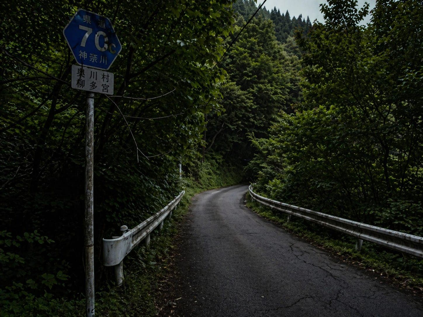 【心霊】ヤビツ峠｜深夜に走ると助手席に乗ってくる霊がいるとされる神奈川の峠