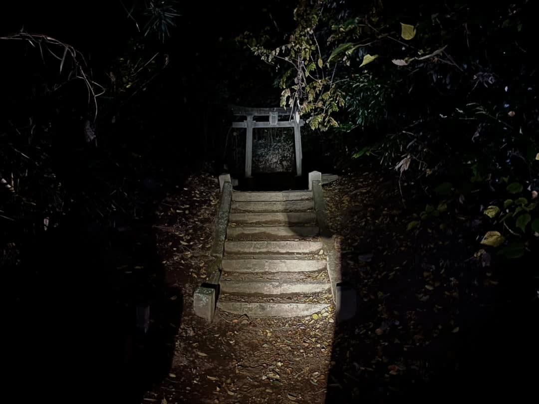 【心霊】七里殺人の森|幕末の大量死亡の記憶が残る埼玉の雑木林の異変