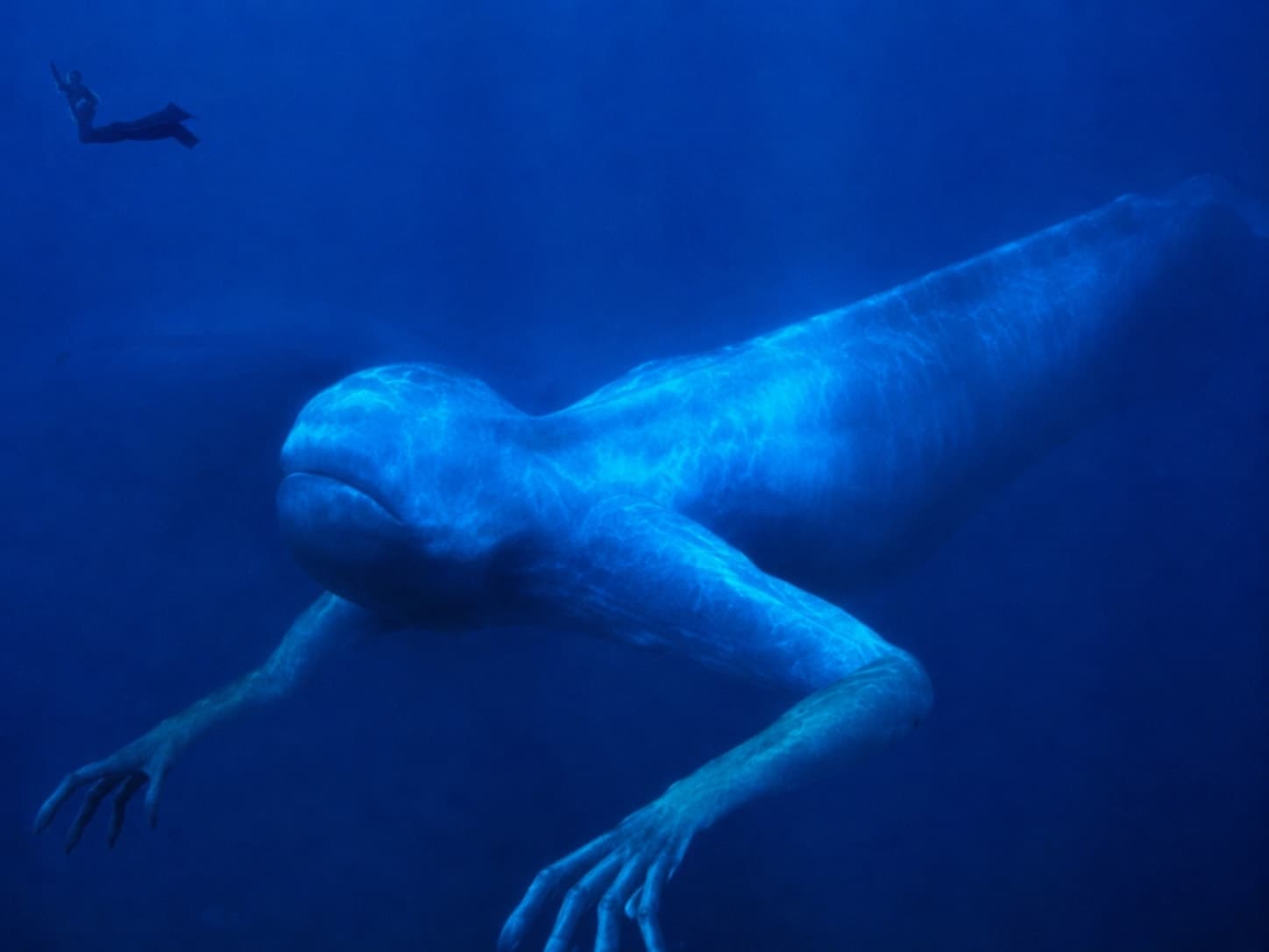 ニンゲン——南極海に出現するとされる全身白色の巨大人型海洋生物